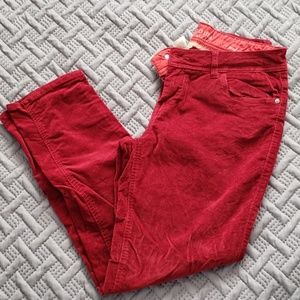Red brushed velour ladies slacks